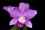 Resize of _DSC4341.jpg