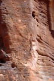 IMG_2356c.jpg