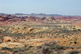 IMG_2371c.jpg