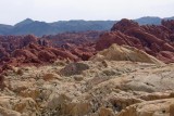 IMG_2382c.jpg
