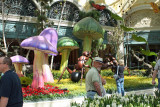 Bellagio Conservatory & Botanical Gardens 1