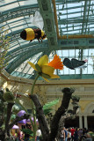 Bellagio Conservatory & Botanical Gardens 3
