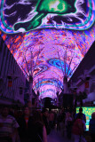 Fremont Street 5