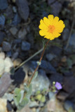 IMG_4374a.jpg