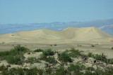 IMG_4391a.jpg