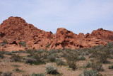 IMG_4533a.jpg