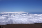 Above the Clouds on Haleakala