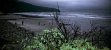 Cape Lookout State Park (1), Oregon Coast