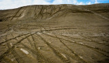 Sandrail art, Oregon Coast Sand Dunes
