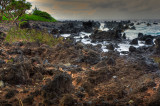 Lava beach along Hana Hwy, Maui, Hawaii