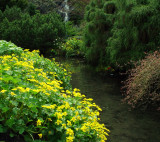 A stream of yellow and green