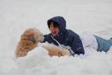 You like snow too?, says Misty, our Wheaten Terrier