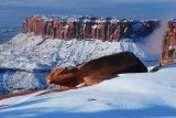 Canyonlands Island in the Sky 352.JPG