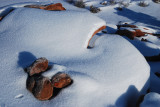 Canyonlands Island in the Sky 374.JPG