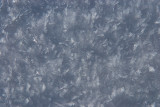 Canyonlands Island in the Sky 383.JPG
