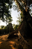 Ta Phrom, again!