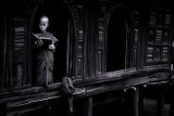 scholar