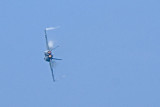 _DSC25826 8x12dpi300_resize.jpg