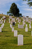 A hillside of graves