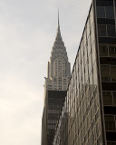 _DSC21764 Web8x10.jpg