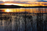 Sunset Lough