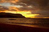 Kauai Gold
