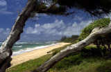 Kauai Beach