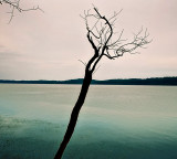 Tennessee River Trichrome