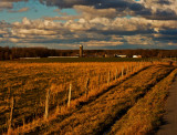 Farm in Lawrence County