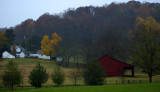 Autumn, Williamson County