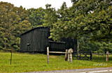 Barn in Black