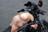 Easy Rider