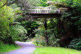 Central Park