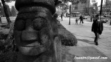 P1000134.jpg