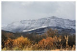 Crowsnest Valley with a Dusting of Snow Up High