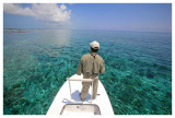 Doug Scans a Reefside Flat