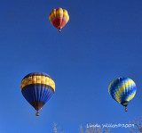 Gallup Balloon Rally- Friday