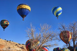 Gallup Balloon Rally- Friday