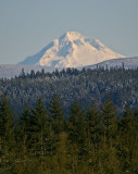 Mt Hood viewed from Crooked Finger Road, @ Scotts Mills, OR