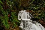 Sheperds Dell Falls, OR