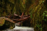 Oneonta Creek Gorge, OR