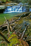 Bark Camp creek cascades