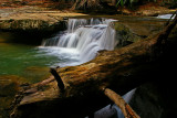 Bark Camp Creek Cascades, Kentucky