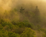 At sunrise from Sky Bridge, Red River Gorge, KY