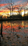 Late fall sunset on the Elkhorn Creek in Kentucky
