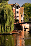 River of Cambridge