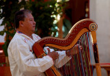 Playing Harp in the Afternoon