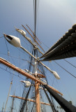 Main Mast