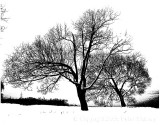 Black and white (literally).