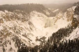 Yellowstones Grand Canyon in heavy snow and fog